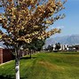 Image result for Lacey Orem Utah