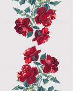 Image result for Drawn Roses Images