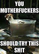 Image result for Green Dog Bathtub Meme