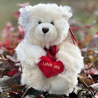 Image result for Dnd Teddy Bear