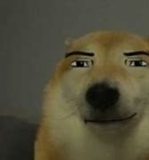 Image result for White Dog Meme PFP Dbd