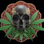 Image result for Trippy Wallpaper for Weed