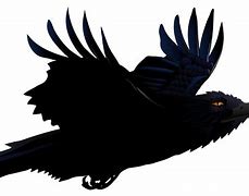 Image result for Raven Shepherd Dog Eyes