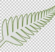 Image result for New Zealand Fern Clip Art