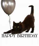 Image result for Happy Birthday Cat Card