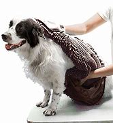 Image result for Dog Paw Cleaning Mat