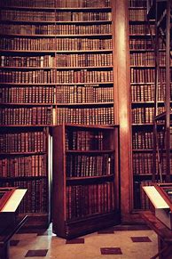 Image result for Hidden Doors Secret Room Library