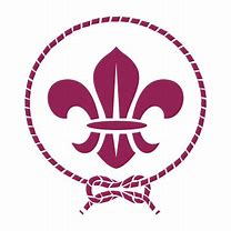 Image result for World Scout Logo