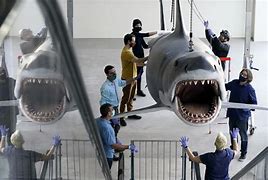 Image result for Real Shark in Jaws Filming