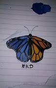 Image result for Asymmetrical Butterfly