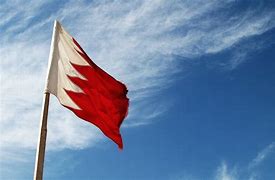 Image result for Bahrain National Flag