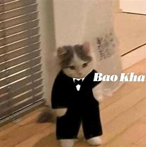 Image result for Baobua Meo Meow