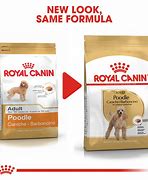 Image result for Royal Canin Poodle Food