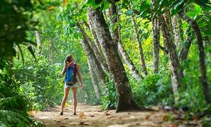 Image result for Costa Rica What to Visit