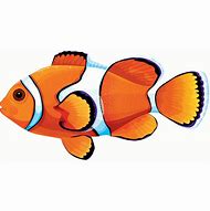 Image result for Clownfish Template