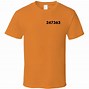 Image result for Orange Roblox Shirt