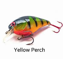 Image result for Brad's Lures