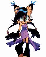 Image result for Sonic Nicole Fly