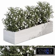 Image result for Outdoor Boxit Plant