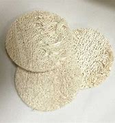 Image result for Image Loofa