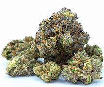 Image result for Exotic Weed Blue