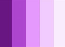 Image result for Light Purple