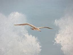 Image result for Seagull Paintings