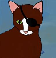 Image result for Eye Patch Cat Logo