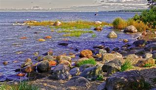 Image result for Baltic Sea Rivers