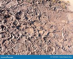 Image result for Dirt Path Background