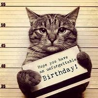 Image result for Happy Birthday From a Cat