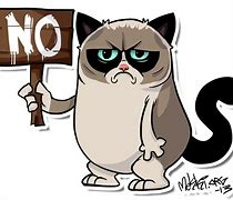 Image result for Grumpy Cat Full Body