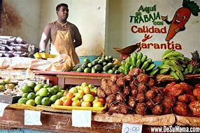 Image result for Cuban Food Culture