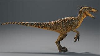 Image result for Utah Raptor Jwe2