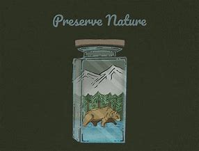 Image result for Preserve Nature Icon