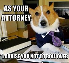 Image result for Dog Attorney Meme