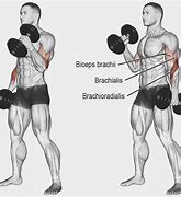 Image result for Forearm Curls