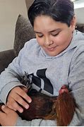 Image result for Neurologic Chickens