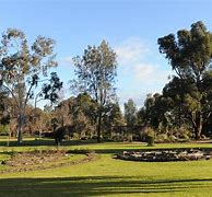 Image result for White Hills Bontainc Gardens