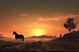 Image result for Beautiful Horse at Sunrise