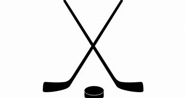 Image result for Pic of Hockey Stick