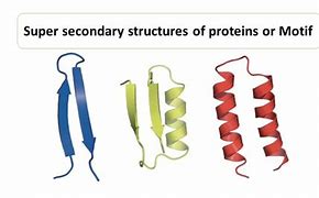 Image result for Protein Motif