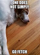 Image result for So Tired Dog Meme