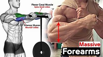 Image result for Forearm Workout Routine