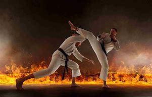 Image result for Taekwondo Exercises