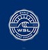 Image result for WSL Black Surf Logo