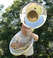 Image result for Tuba Musical