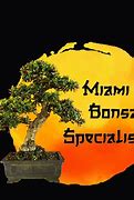 Image result for Bonsai Paradise Orlando