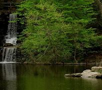 Image result for Wittlinger Nature Preserve