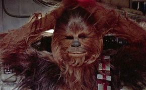 Image result for Wookie Ewok